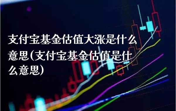 支付宝基金估值大涨是什么意思(支付宝基金估值是什么意思)_https://www.gnhpgy.com_纳指期货_第1张
