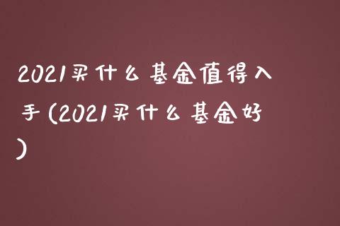 2021买什么基金值得入手(2021买什么基金好)_https://www.gnhpgy.com_期货知识_第1张