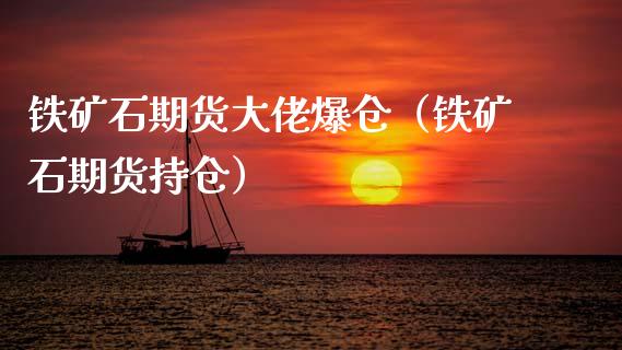 铁矿石期货大佬爆仓（铁矿石期货持仓）_https://www.gnhpgy.com_原油期货_第1张