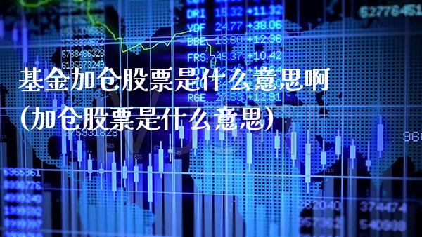 基金加仓股票是什么意思啊(加仓股票是什么意思)_https://www.gnhpgy.com_股指期货_第1张