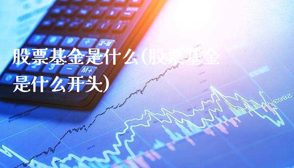 股票基金是什么(股票基金是什么开头)_https://www.gnhpgy.com_黄金期货_第1张