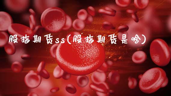股指期货ss(股指期货是啥)_股指期货_第1张_公牛期货直播室 股指期货ss(股指期货是啥)_https://www.gnhpgy.com_股指期货_第1张