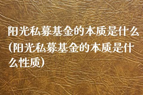阳光私募基金的本质是什么(阳光私募基金的本质是什么性质)_https://www.gnhpgy.com_道指期货_第1张