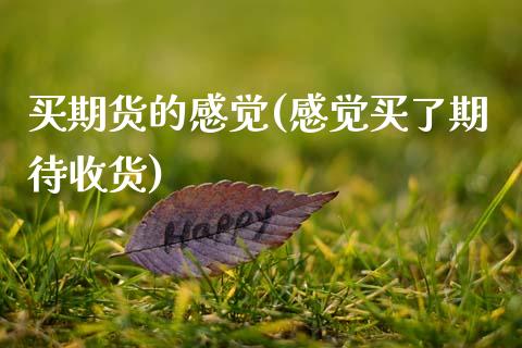 买期货的感觉(感觉买了期待收货)_https://www.gnhpgy.com_股指期货_第1张