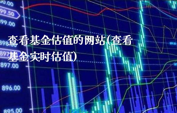 查看基金估值的网站(查看基金实时估值)_期货百科_第1张_公牛期货直播室 查看基金估值的网站(查看基金实时估值)_https://www.gnhpgy.com_期货百科_第1张