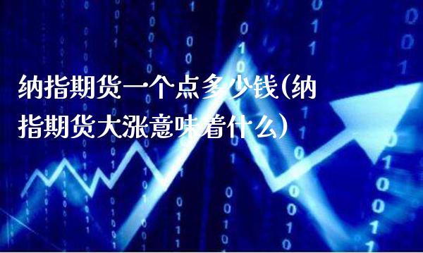 纳指期货一个点多少钱(纳指期货大涨意味着什么)_https://www.gnhpgy.com_股指期货_第1张