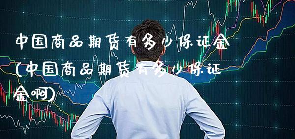 中国商品期货有多少保证金(中国商品期货有多少保证金啊)_https://www.gnhpgy.com_德指期货_第1张