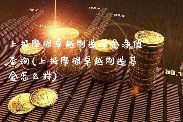 上投摩根卓越制造基金净值查询(上投摩根卓越制造基金怎么样)_https://www.gnhpgy.com_德指期货_第1张