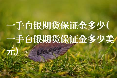 一手白银期货保证金多少(一手白银期货保证金多少美元)_https://www.gnhpgy.com_期货知识_第1张