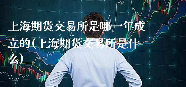 上海期货交易所是哪一年成立的(上海期货交易所是什么)_https://www.gnhpgy.com_原油期货_第1张
