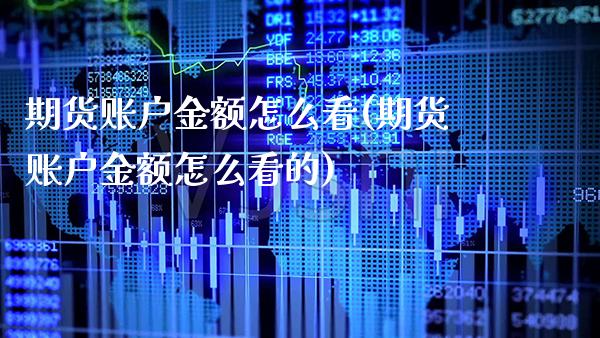 期货账户金额怎么看(期货账户金额怎么看的)_https://www.gnhpgy.com_原油期货_第1张