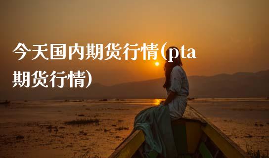 今天国内期货行情(pta期货行情)_https://www.gnhpgy.com_道指期货_第1张