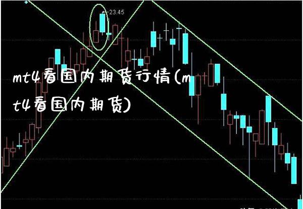 mt4看国内期货行情(mt4看国内期货)_https://www.gnhpgy.com_期货知识_第1张