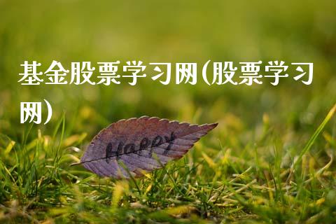 基金股票学习网(股票学习网)_https://www.gnhpgy.com_道指期货_第1张