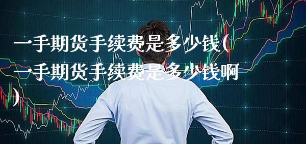 一手期货手续费是多少钱(一手期货手续费是多少钱啊)_https://www.gnhpgy.com_纳指期货_第1张
