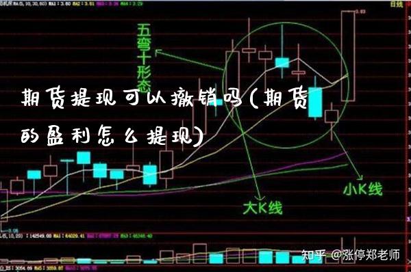 期货提现可以撤销吗(期货的盈利怎么提现)_https://www.gnhpgy.com_道指期货_第1张