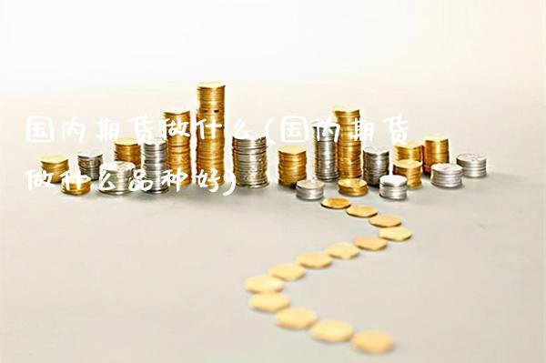国内期货做什么(国内期货做什么品种好)_https://www.gnhpgy.com_纳指期货_第1张