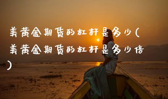 美黄金期货的杠杆是多少(美黄金期货的杠杆是多少倍)_https://www.gnhpgy.com_期货百科_第1张