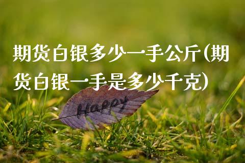 期货白银多少一手公斤(期货白银一手是多少千克)_https://www.gnhpgy.com_原油期货_第1张