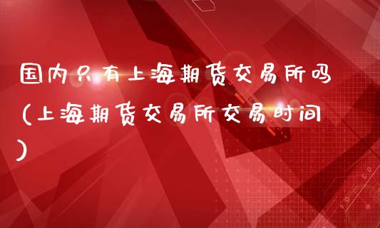 国内只有上海期货交易所吗(上海期货交易所交易时间)_https://www.gnhpgy.com_道指期货_第1张