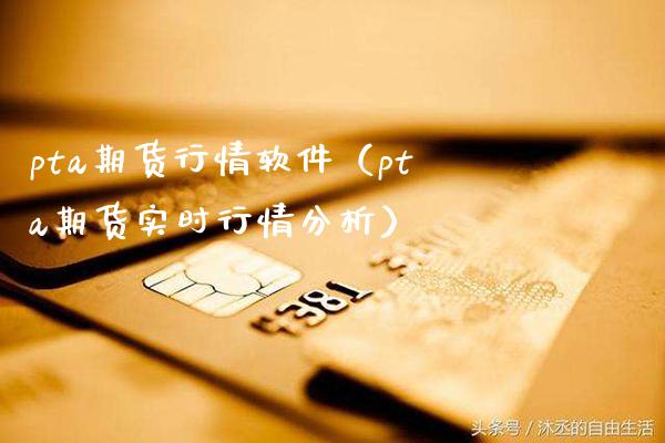 pta期货行情软件（pta期货实时行情分析）_https://www.gnhpgy.com_原油期货_第1张