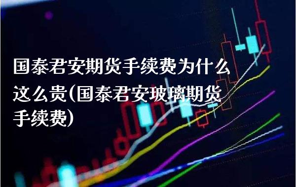 期货手续费为什么这么贵(玻璃期货手续费)_https://www.gnhpgy.com_德指期货_第1张