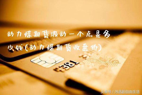 动力煤期货波动一个点是多少钱(动力煤期货收盘价)_https://www.gnhpgy.com_黄金期货_第1张