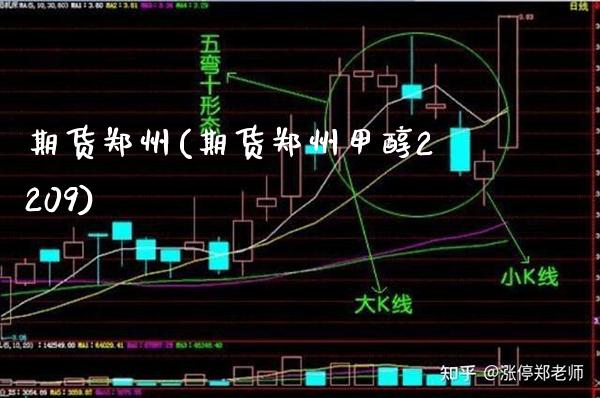 期货郑州(期货郑州甲醇2209)_https://www.gnhpgy.com_原油期货_第1张