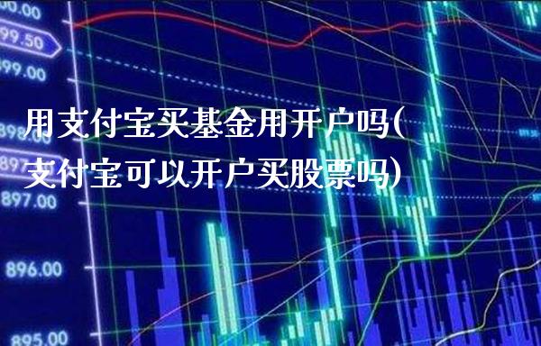 用支付宝买基金用开户吗(支付宝可以开户买股票吗)_https://www.gnhpgy.com_德指期货_第1张