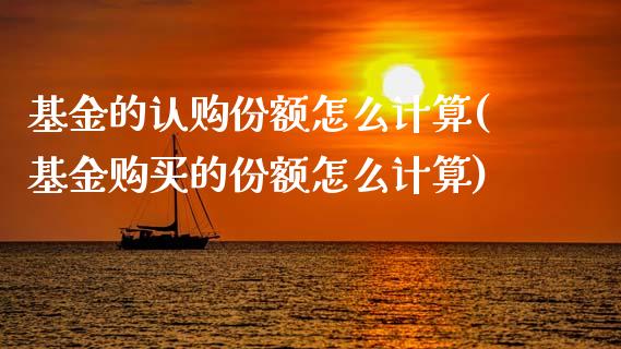 基金的认购份额怎么计算(基金购买的份额怎么计算)_https://www.gnhpgy.com_德指期货_第1张