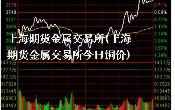 上海期货金属交易所(上海期货金属交易所今日铜价)_https://www.gnhpgy.com_恒指期货_第1张