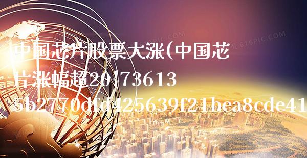 中国芯片股票大涨(中国芯片涨幅超20%)_https://www.gnhpgy.com_德指期货_第1张