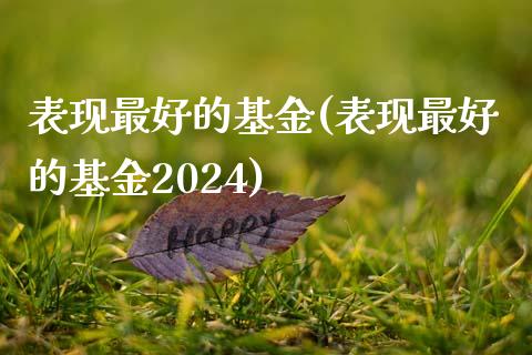 表现最好的基金(表现最好的基金2024)_https://www.gnhpgy.com_期货百科_第1张