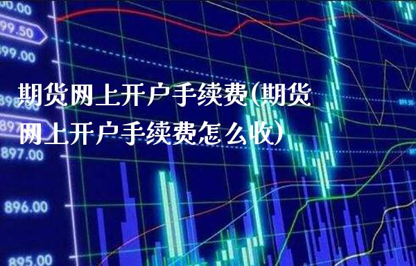 期货网上开户手续费(期货网上开户手续费怎么收)_https://www.gnhpgy.com_原油期货_第1张