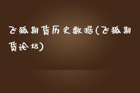 飞狐期货历史数据(飞狐期货)_https://www.gnhpgy.com_原油期货_第1张