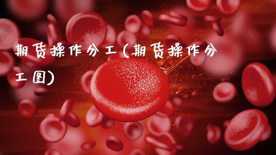 期货操作分工(期货操作分工图)_https://www.gnhpgy.com_道指期货_第1张