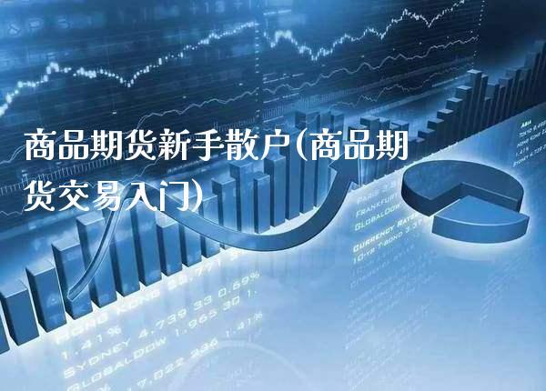 商品期货新手散户(商品期货交易入门)_https://www.gnhpgy.com_期货百科_第1张