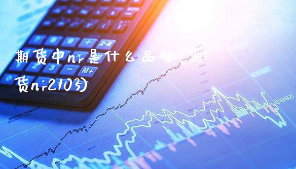 期货中nr是什么品种(期货nr2103)_https://www.gnhpgy.com_道指期货_第1张