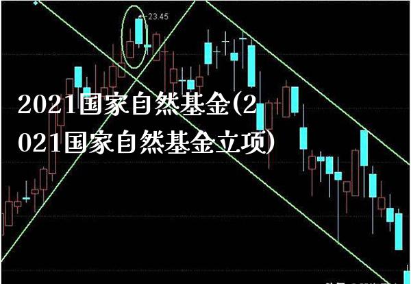 2021国家自然基金(2021国家自然基金立项)_https://www.gnhpgy.com_期货知识_第1张