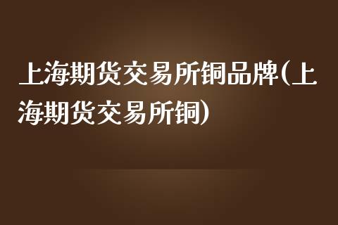 上海期货交易所铜品牌(上海期货交易所铜)_https://www.gnhpgy.com_期货知识_第1张