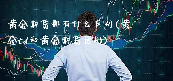 黄金期货都有什么区别(黄金td和黄金期货区别)_https://www.gnhpgy.com_恒指期货_第1张
