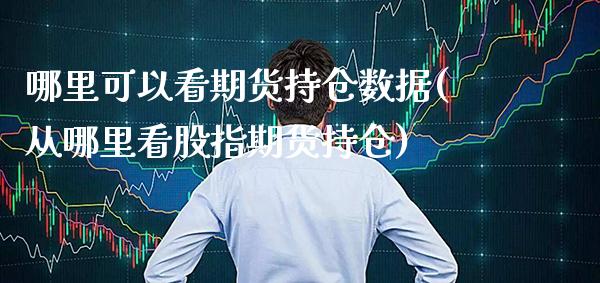 哪里可以看期货持仓数据(从哪里看股指期货持仓)_https://www.gnhpgy.com_股指期货_第1张