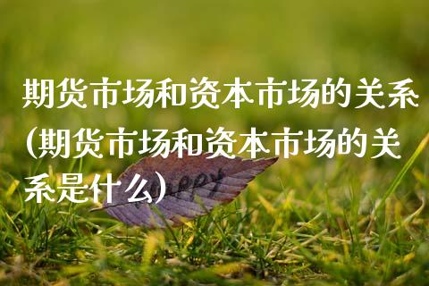 期货市场和资本市场的关系(期货市场和资本市场的关系是什么)_https://www.gnhpgy.com_纳指期货_第1张