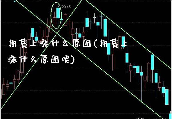 期货上涨什么原因(期货上涨什么原因呢)_https://www.gnhpgy.com_纳指期货_第1张