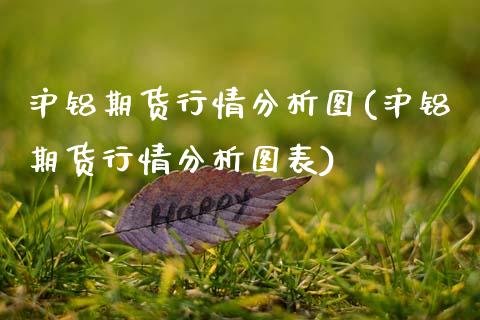 沪铝期货行情分析图(沪铝期货行情分析图表)_https://www.gnhpgy.com_期货知识_第1张