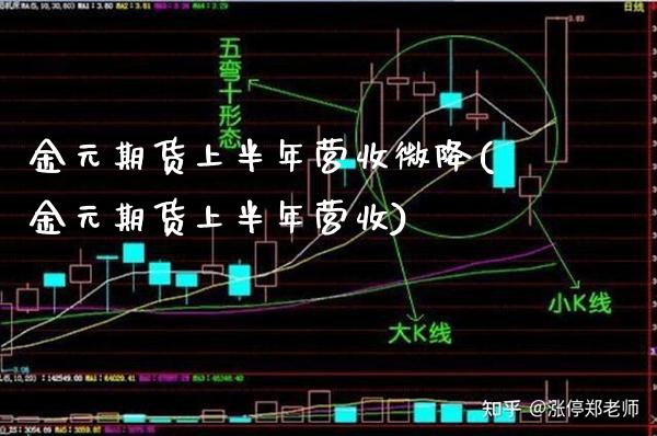 金元期货上半年营收微降(金元期货上半年营收)_https://www.gnhpgy.com_纳指期货_第1张