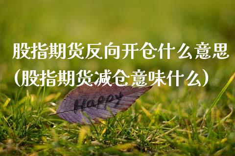 股指期货反向开仓什么意思(股指期货减仓意味什么)_https://www.gnhpgy.com_原油期货_第1张