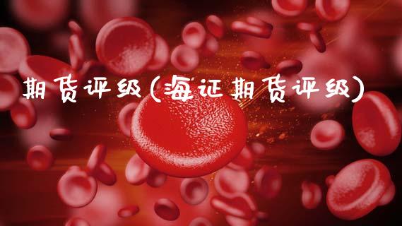 期货评级(海证期货评级)_https://www.gnhpgy.com_股指期货_第1张