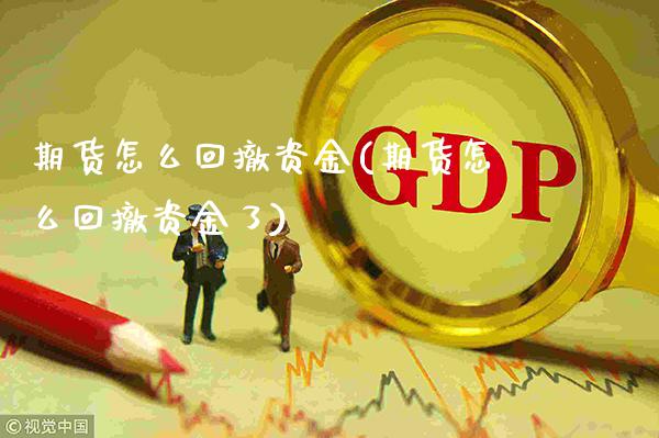 期货怎么回撤资金(期货怎么回撤资金了)_https://www.gnhpgy.com_期货知识_第1张