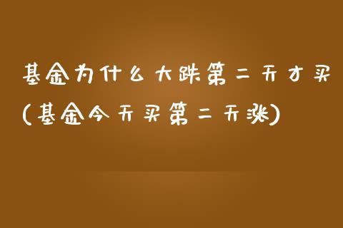 基金为什么大跌第二天才买(基金今天买第二天涨)_https://www.gnhpgy.com_纳指期货_第1张